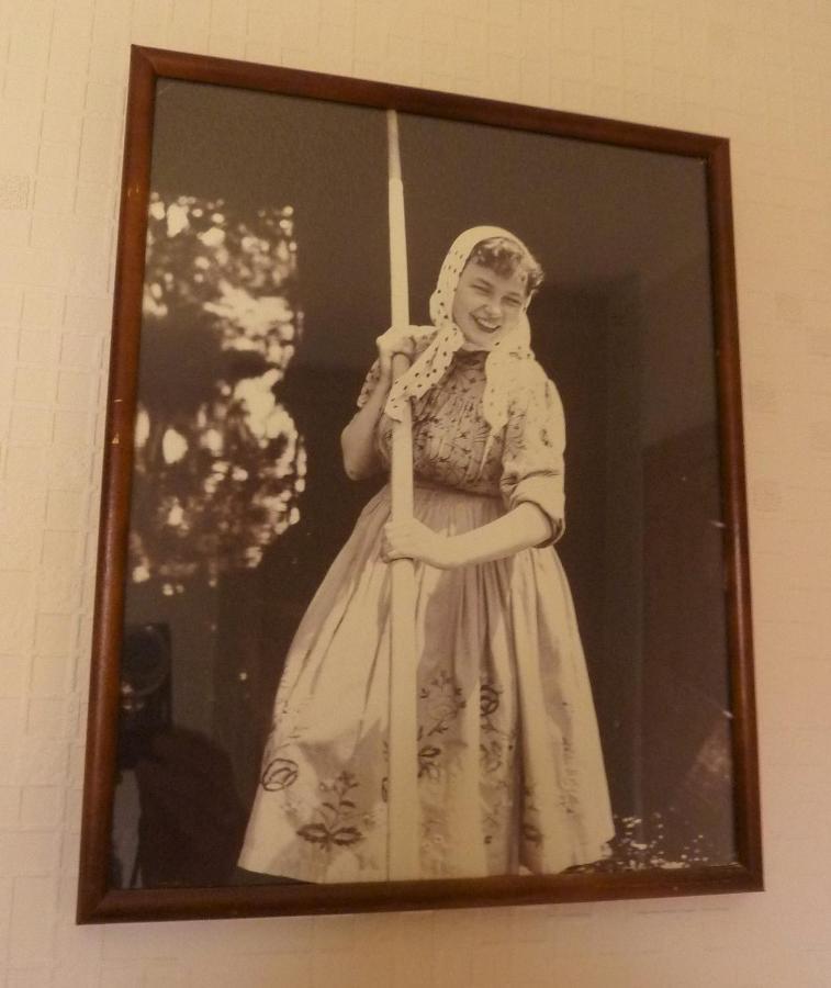 Ferienwohnungen An Den Linden Burg  Buitenkant foto